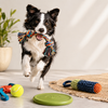 Active Toys