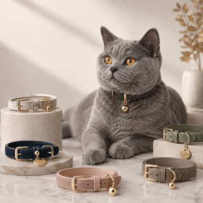 Collars