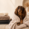 Cozy Blankets