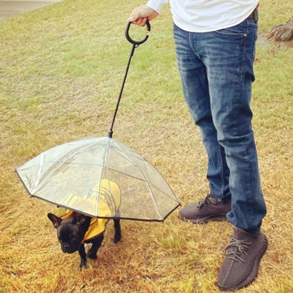 PawShield C-Type Umbrella™