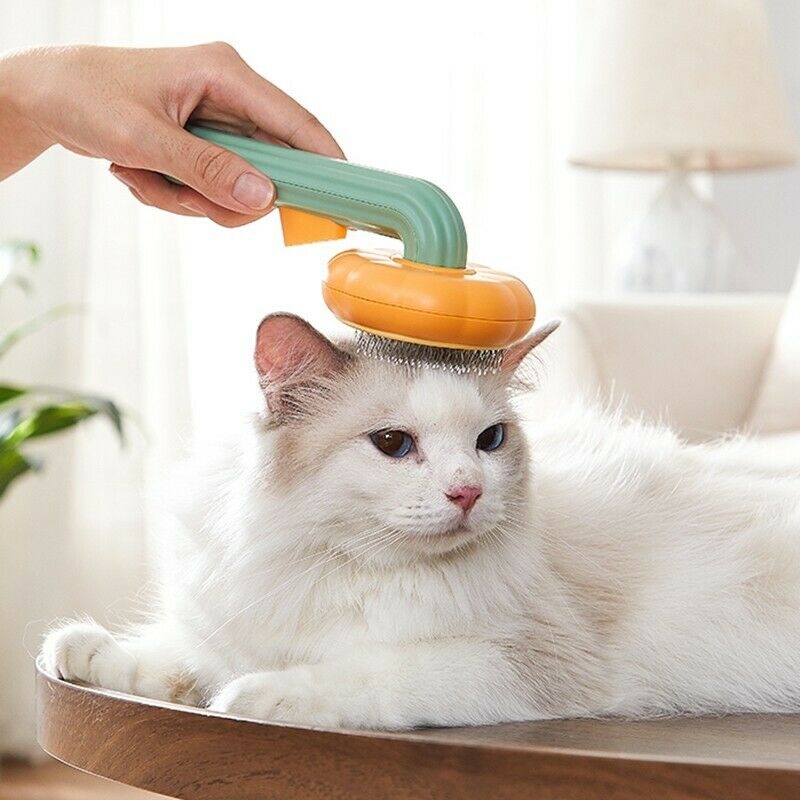 PumpkinGlow Self-Cleaning Brush™