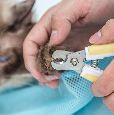 SoftMesh Cat Grooming Bag™