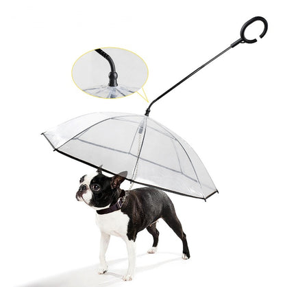 PawShield C-Type Umbrella™