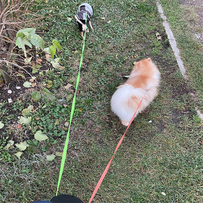 TwinGlow 360 Double Leash™