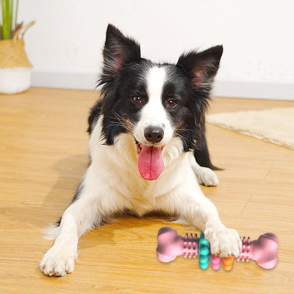 BoneChew Bite-Resistant Toy™
