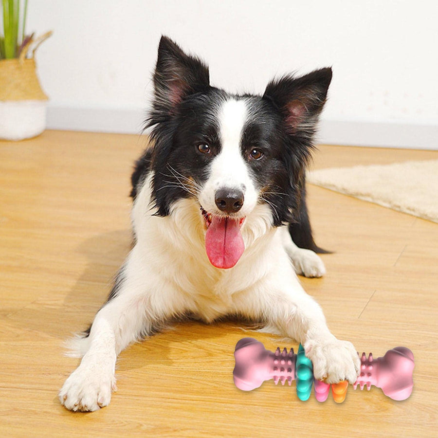 BoneChew Bite-Resistant Toy™