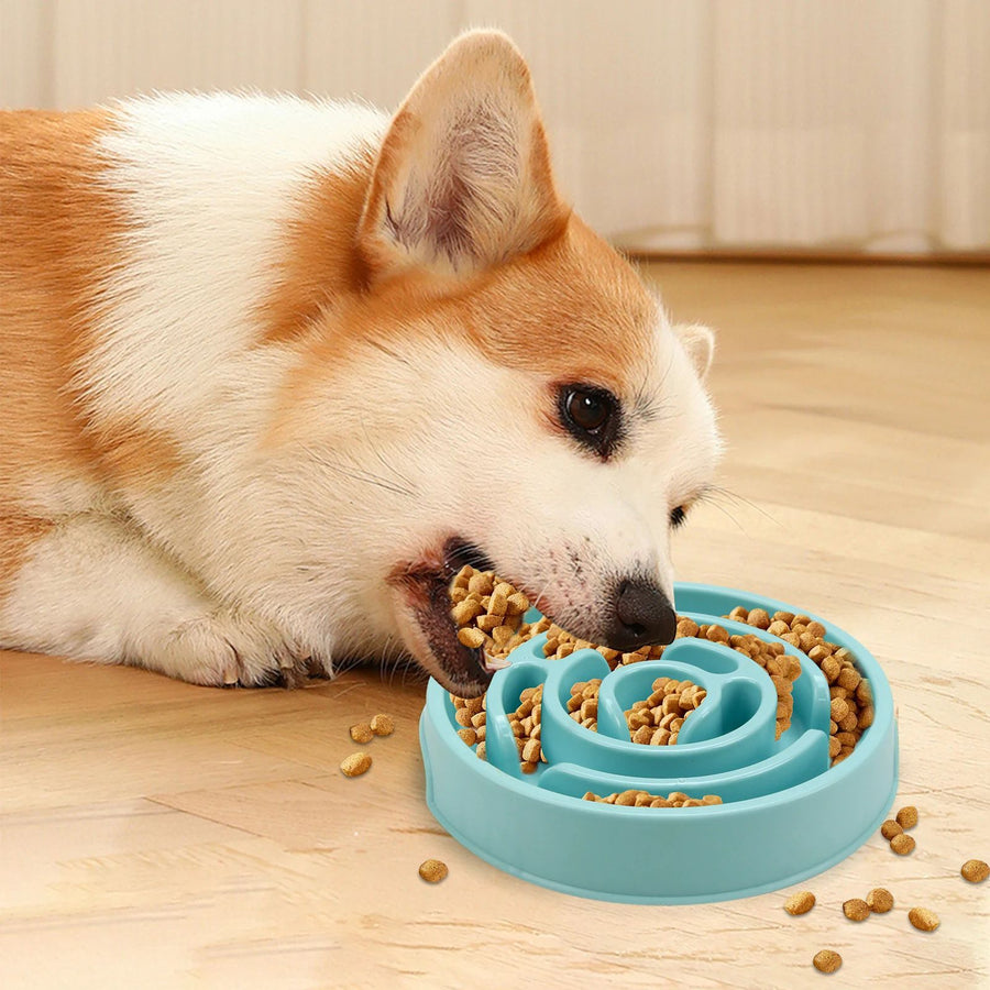 SlowMaze Feeder™