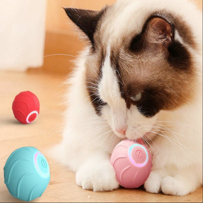 Smart Interactive Rolling Ball Toy