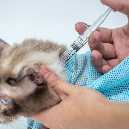 SoftMesh Cat Grooming Bag™