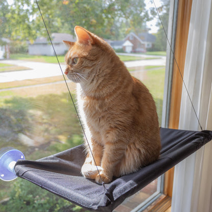 SkyView Window Hammock™