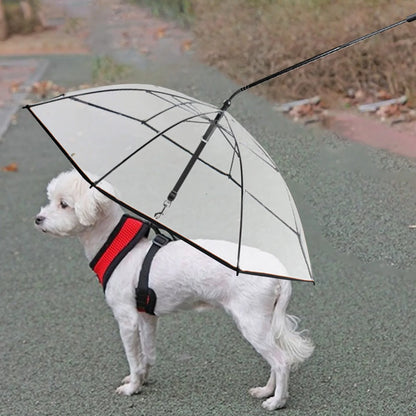PawShield C-Type Umbrella™