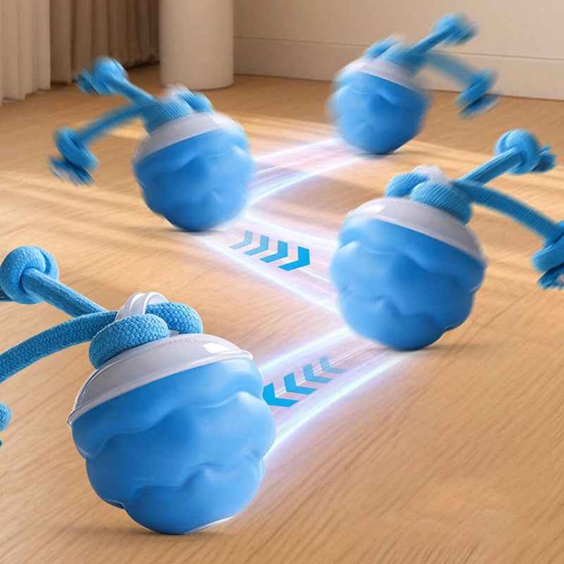 Smart Ball With Ropes Toy