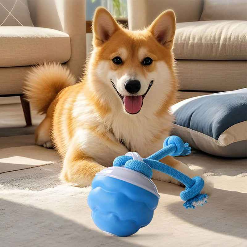 Smart Ball With Ropes Toy